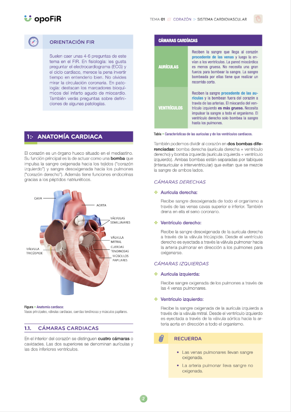 Ejemplo pagina apuntes